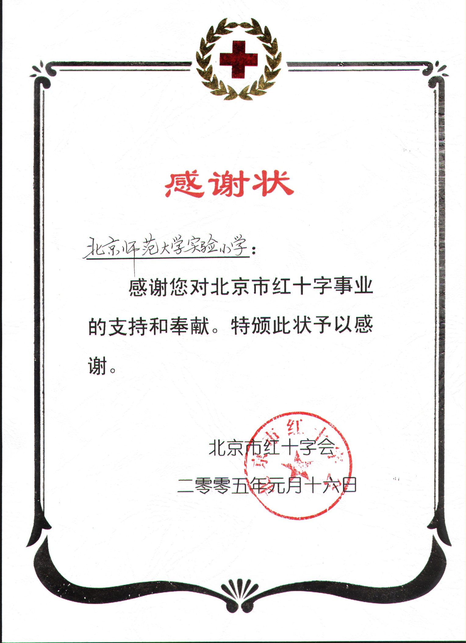 红十字.jpg