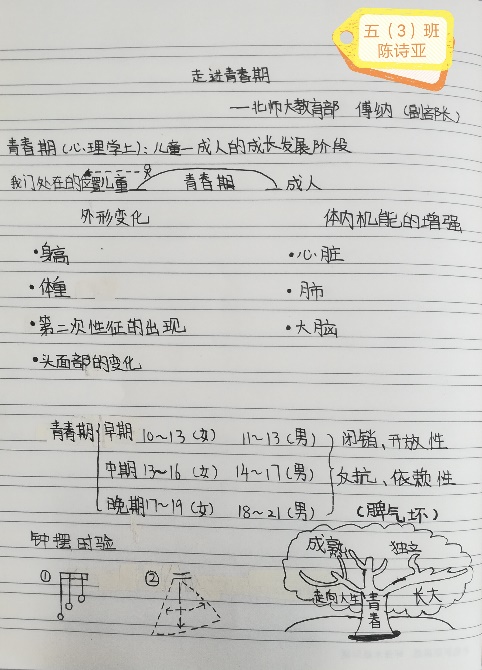 201912190931029328.Jpeg