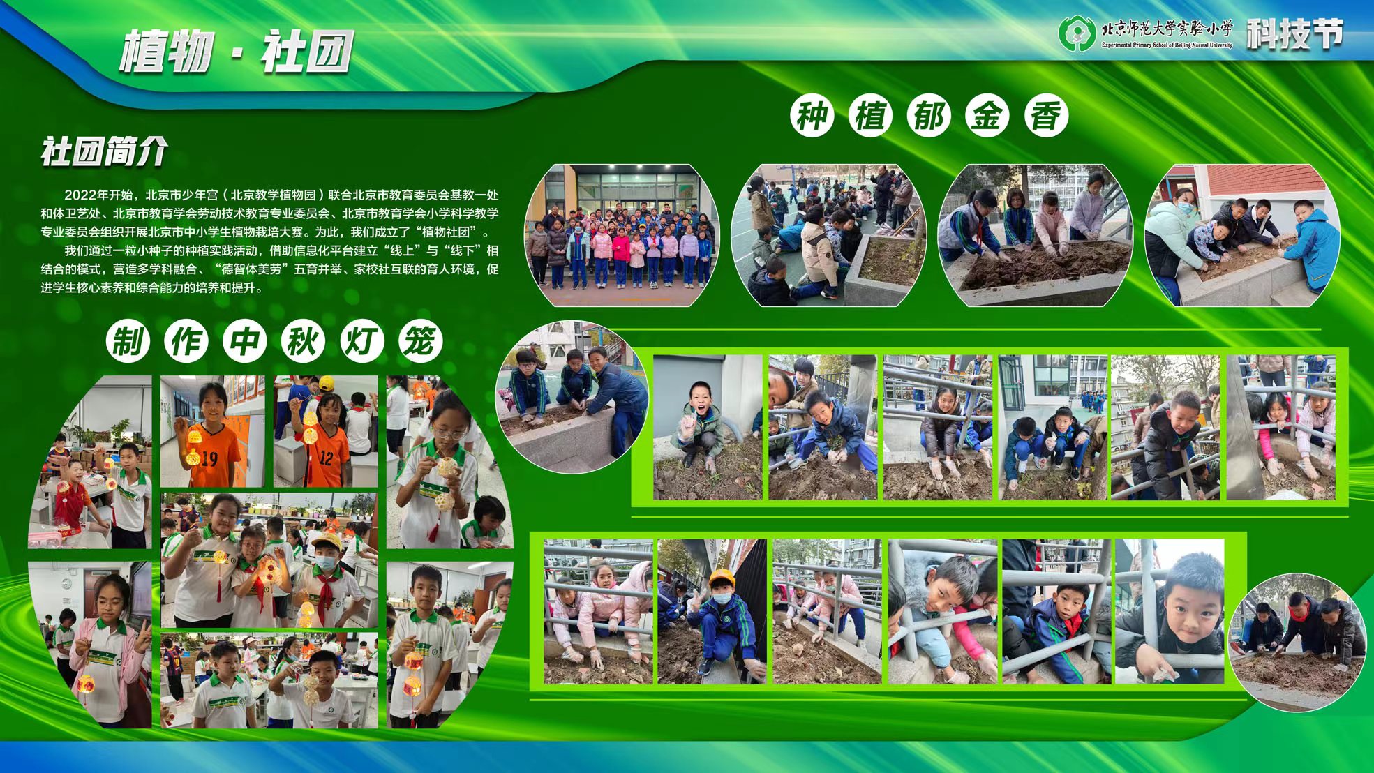d082e4d926a11f6156af7b153fbdcbf.jpg
